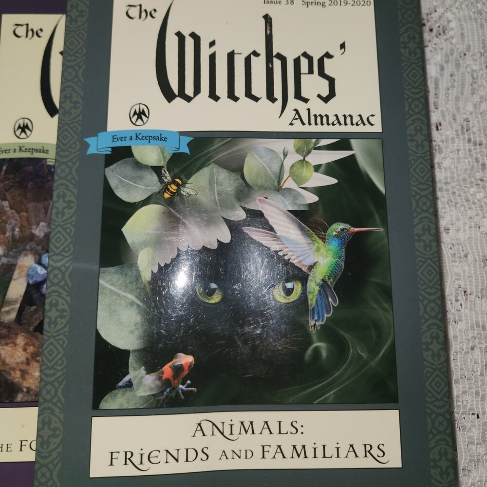 Lot 3 Witches Almanacs 2010-2011; 2019-2020; 2020-2021 - Picture 2 of 4